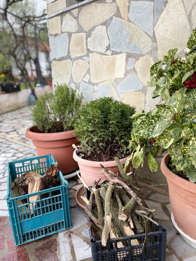 Kasaj Villa Gjirokastër Dış mekan fotoğraf