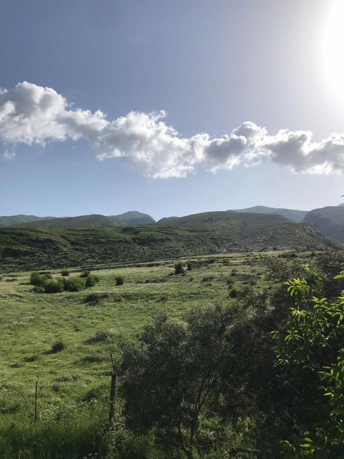 Kasaj Villa Gjirokastër Dış mekan fotoğraf