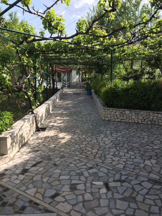 Kasaj Villa Gjirokastër Dış mekan fotoğraf