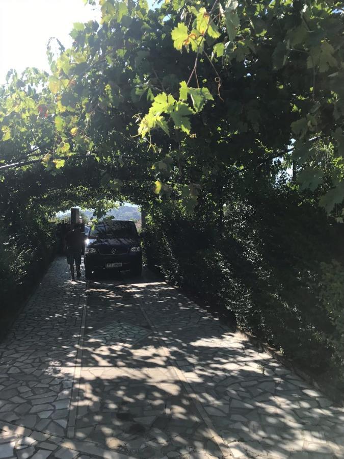 Kasaj Villa Gjirokastër Dış mekan fotoğraf